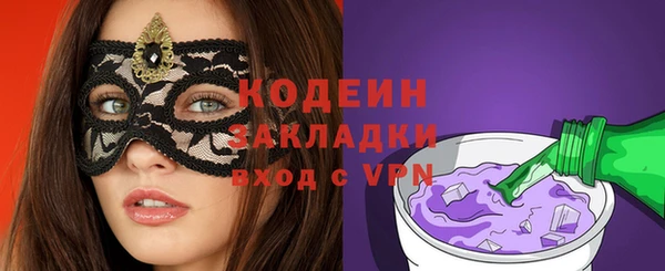индика Ладушкин