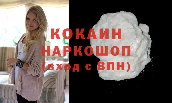 индика Ладушкин