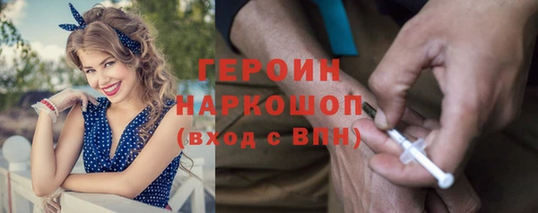 индика Ладушкин