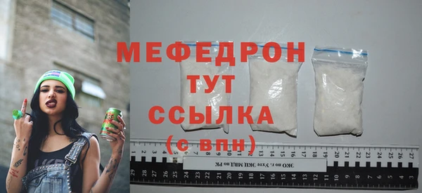 индика Ладушкин