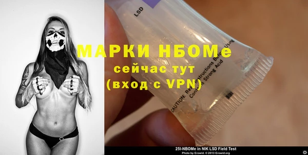индика Ладушкин