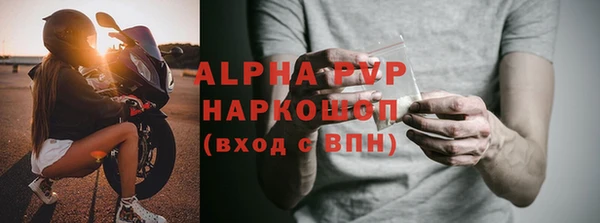 индика Ладушкин