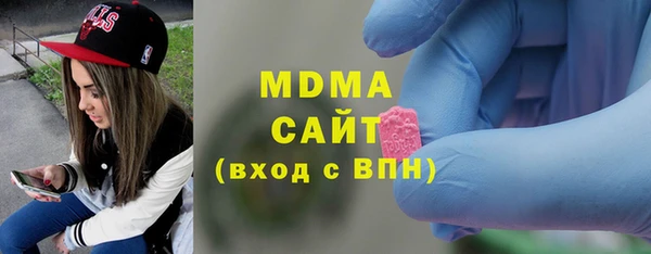 индика Ладушкин