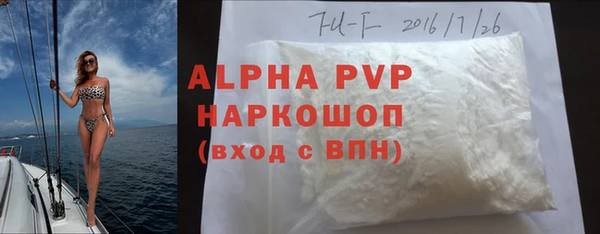 индика Ладушкин