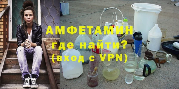 индика Ладушкин