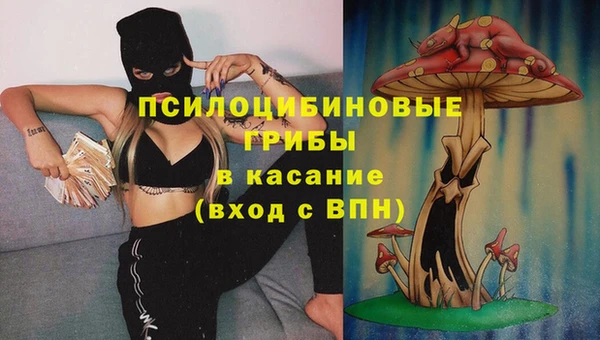 индика Ладушкин