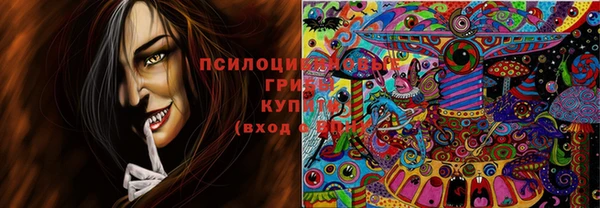 бошки Лагань