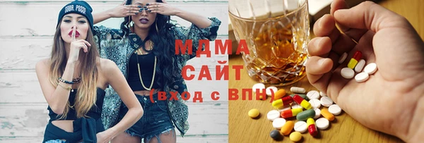 индика Ладушкин