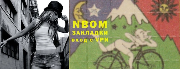 индика Ладушкин